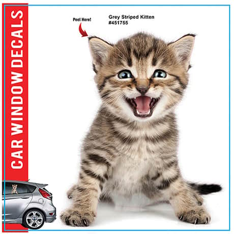 Cat Car-Window Cling