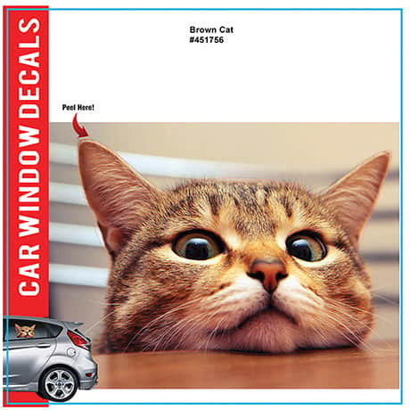 Cat Car-Window Cling