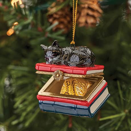 Porcelain Surprise Ornament - Tuxedo Kitten on Books