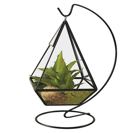 Hanging Glass Terrarium with Stand - Black
