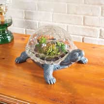 Alternate image Turtle Terrarium
