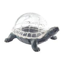 Alternate image Turtle Terrarium