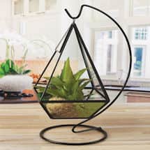 Alternate image Hanging Glass Terrarium with Stand - Black