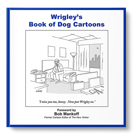 Personalized Dog Cartoon Book | Signals