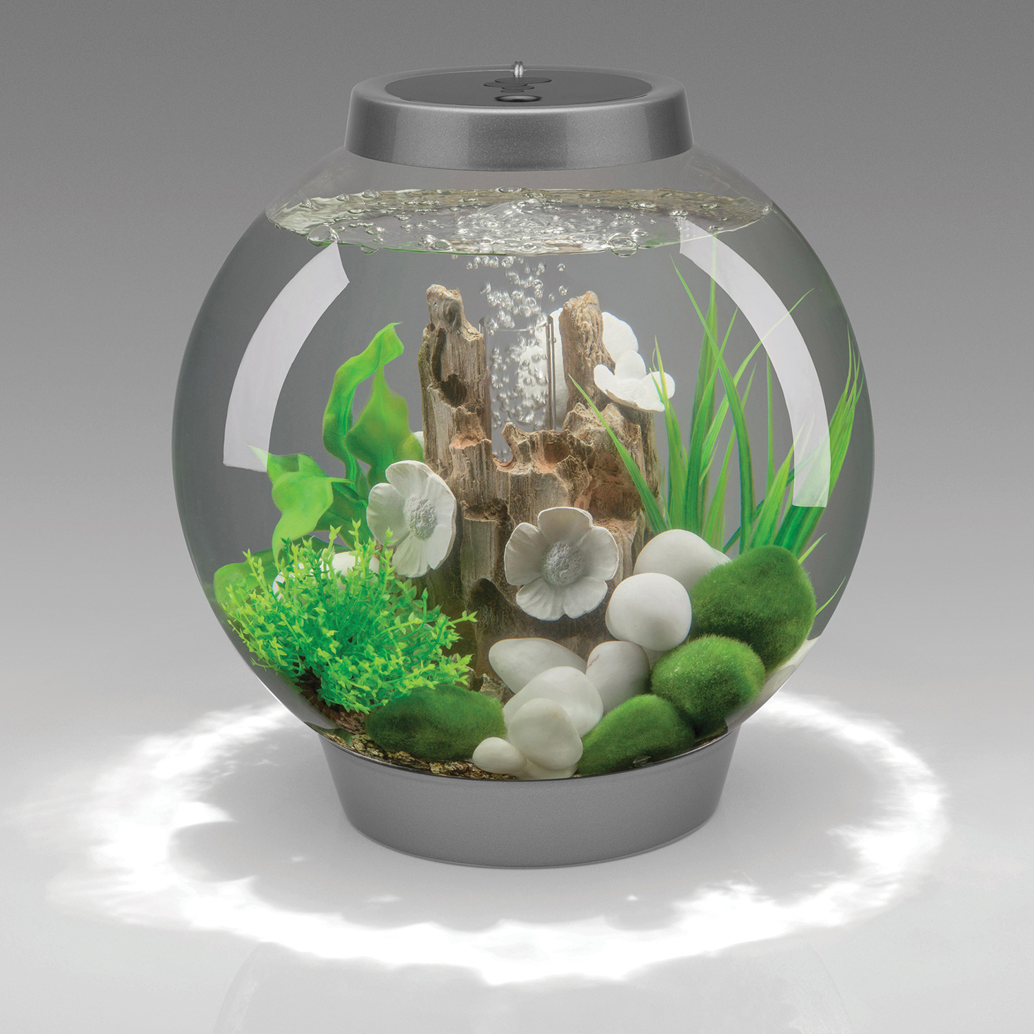 biOrb Aquarium Grass Ring - Green (46105) – Dream Fish Tanks